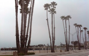 Main Beach Santa Cruz