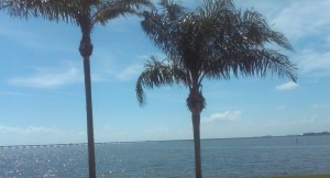Tampa bay