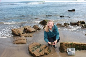 Beth collecting seaweed