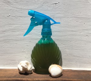 image of spray bottle